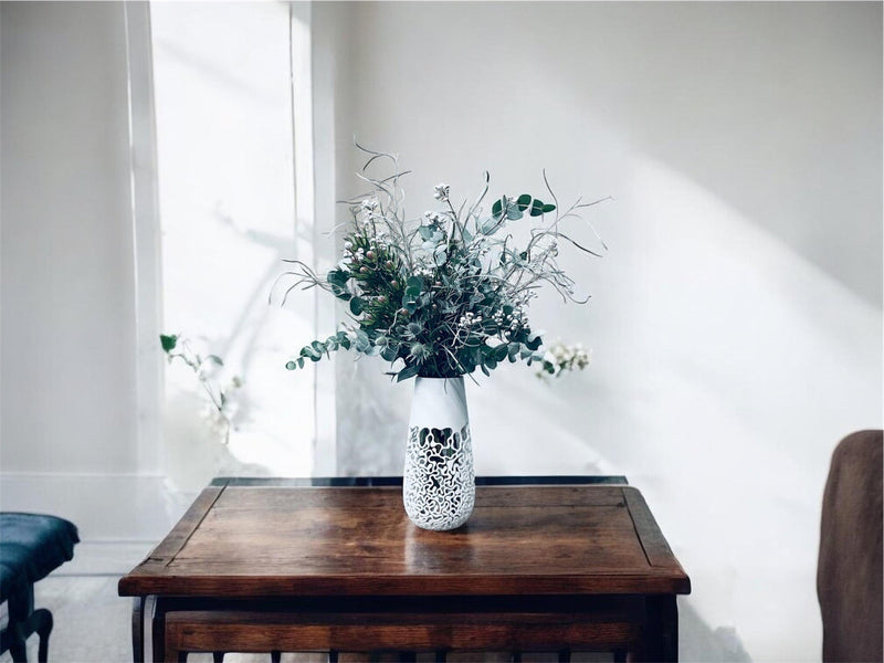 NB1の販売を開始しました