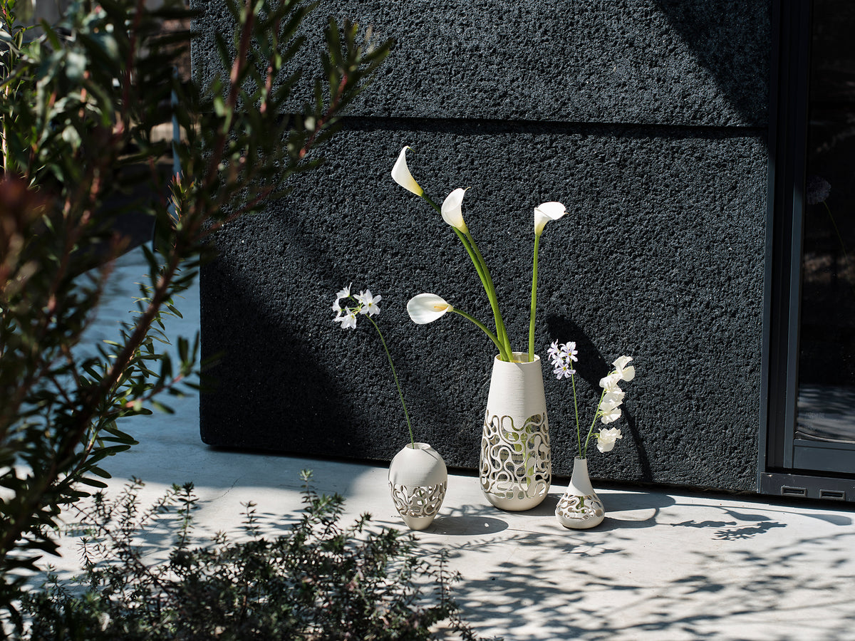 GoGoCollective