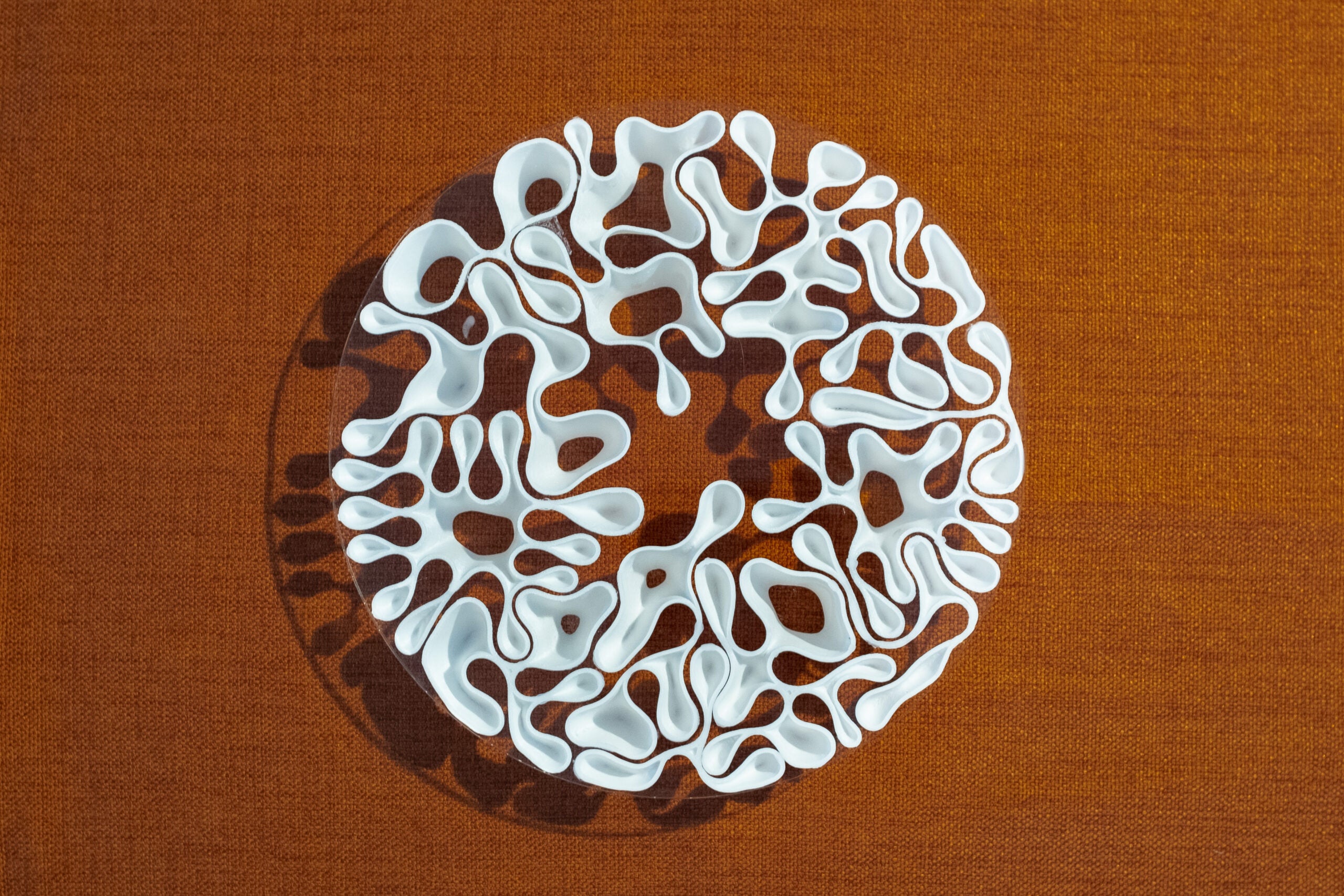 動画を読み込む: 